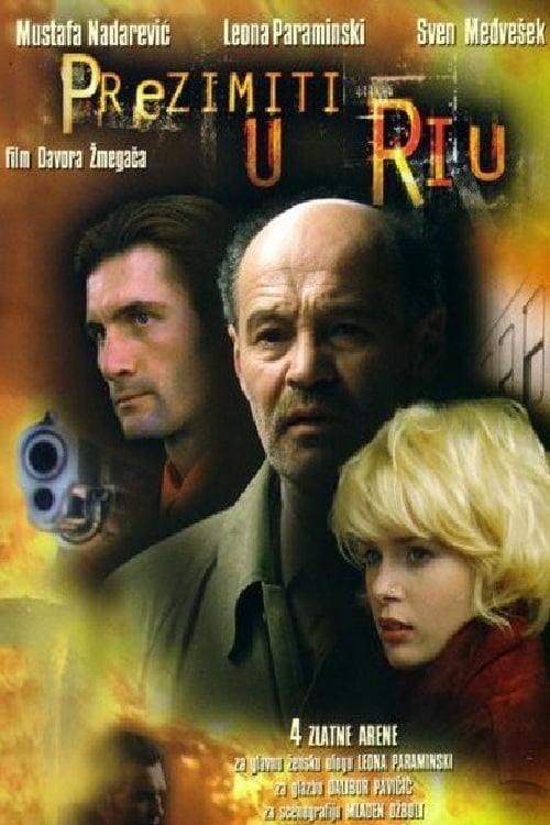 Poster for Winter in Rio