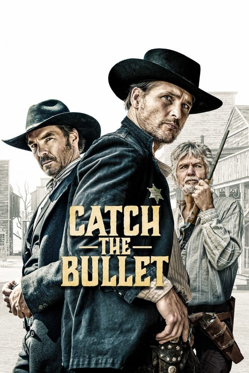 Poster for Catch the Bullet