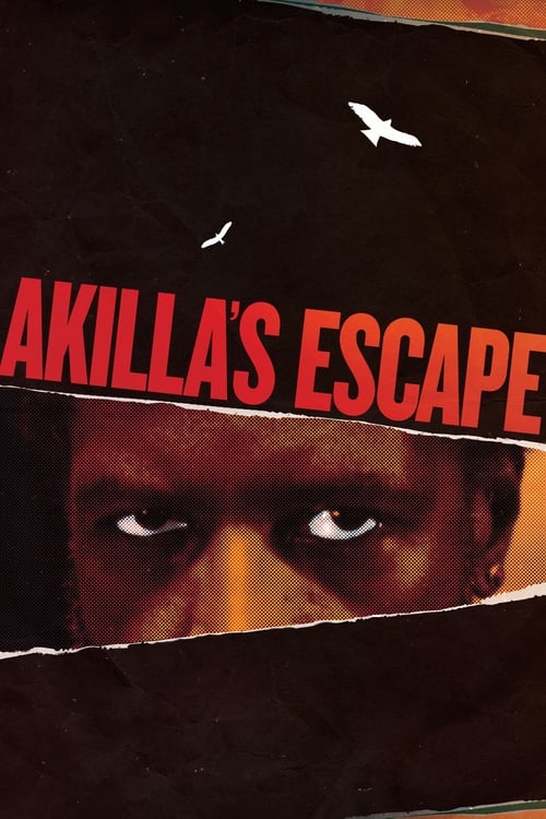 Poster for Akilla's Escape