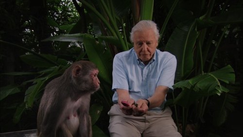 David Attenborough's Rise of Animals: Triumph of the Vertebrates scene 2