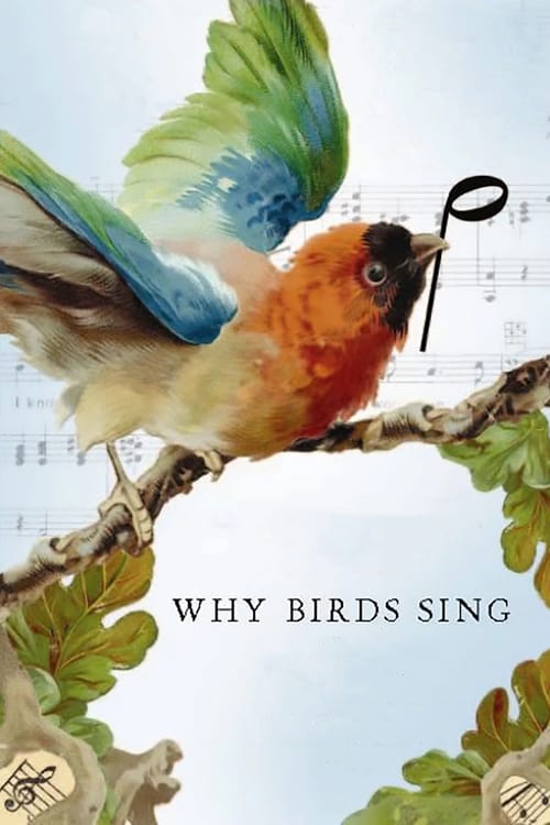 Poster for Why Birds Sing