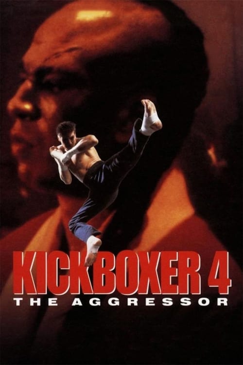 Poster for Kickboxer 4: The Aggressor