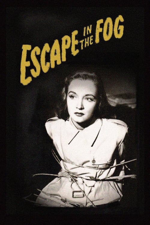 Poster for Escape in the Fog