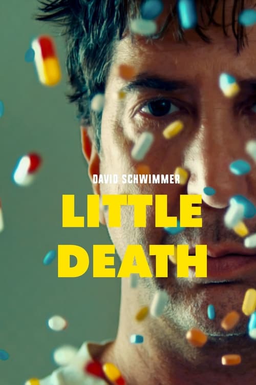 Poster for Little Death