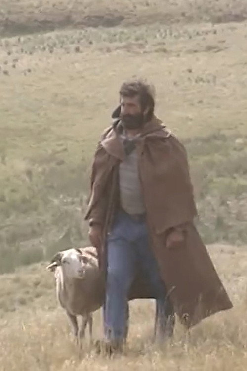 Shepherd and beyond