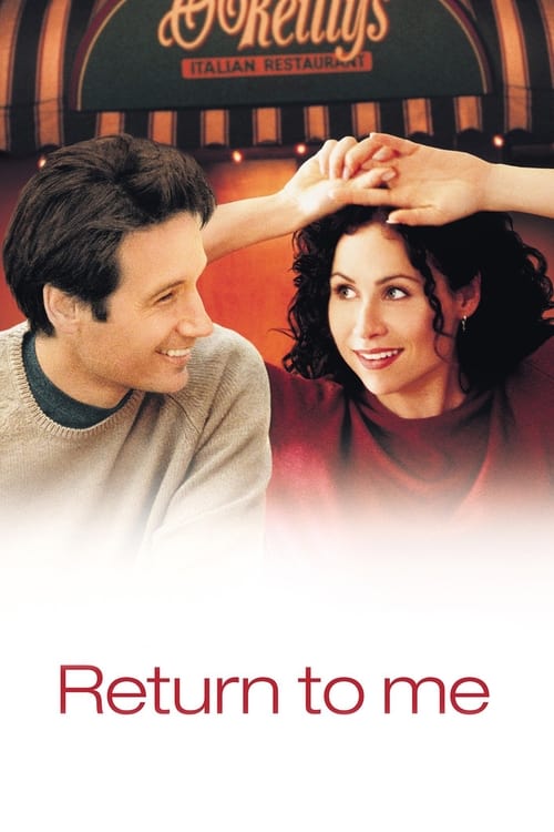 Poster for Return to Me