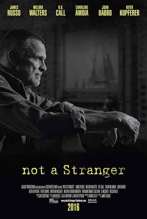Poster for Not a Stranger