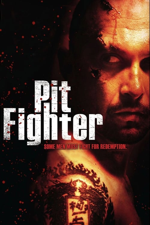 Poster for Pit Fighter