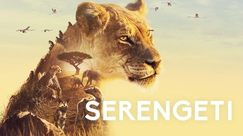 Serengeti scene 3