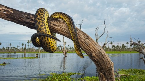 Wild Argentina: Extreme Earth scene 2