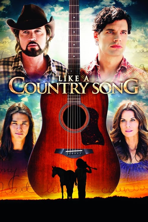 Poster for Like a Country Song