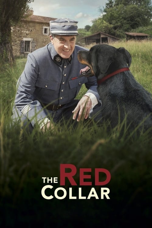 Poster for The Red Collar
