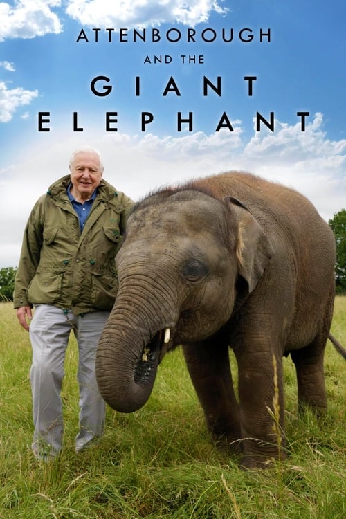Poster for Attenborough and the Giant Elephant