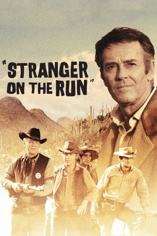 Poster for Stranger on the Run