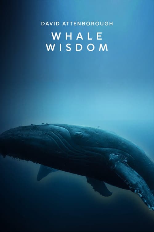 Poster for Whale Wisdom
