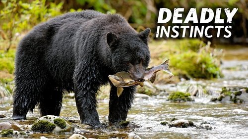 Deadly Instincts scene 5
