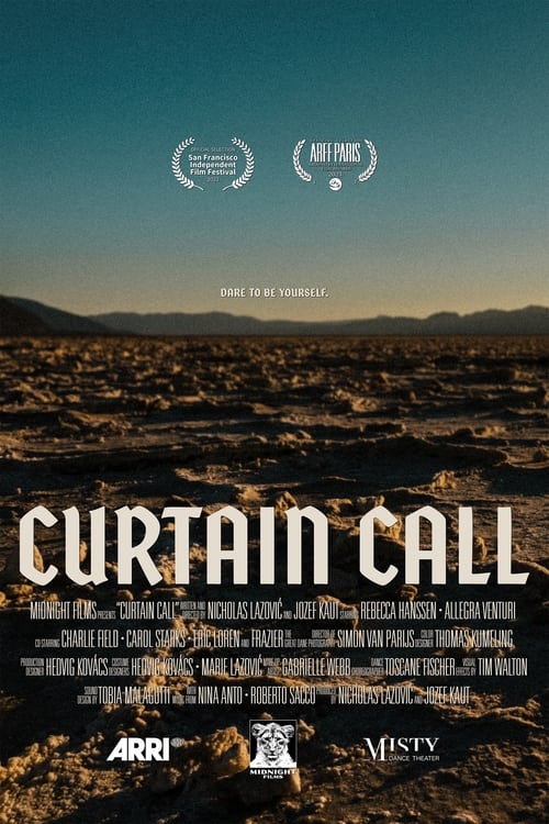 Poster for Curtain Call