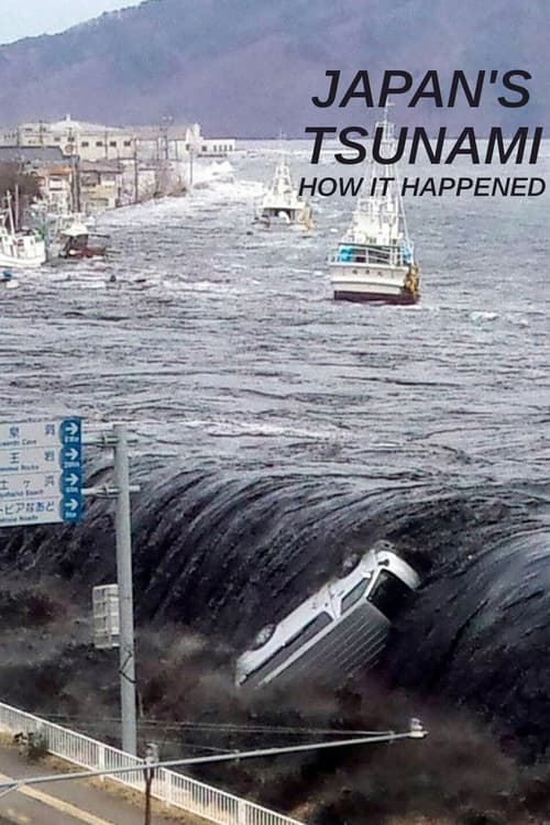 Poster for Japan's Tsunami: How It Happened