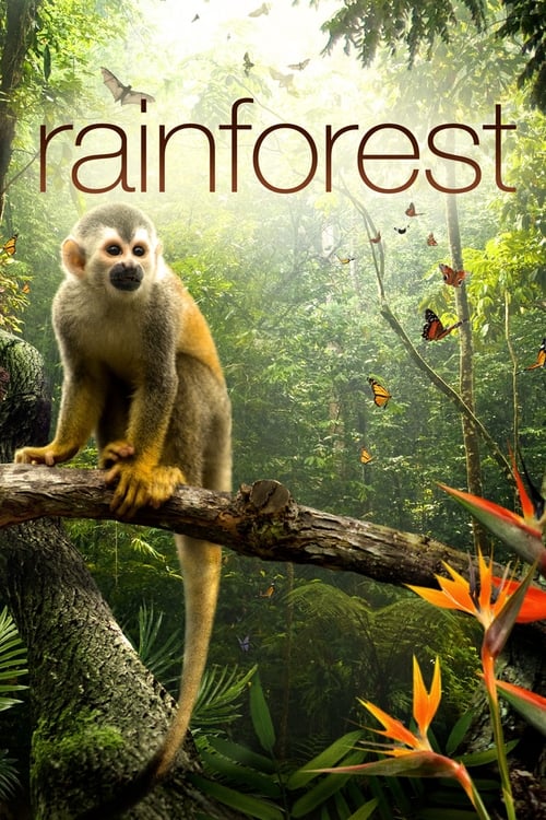 Poster for Secret Life of the Rainforest