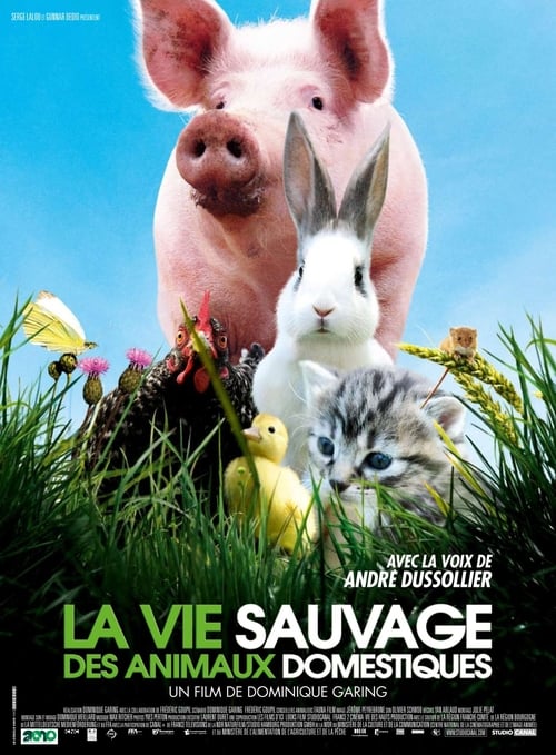 Poster for La vie sauvage des animaux domestiques