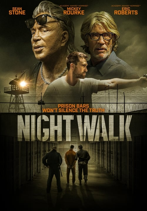 Poster for Night Walk