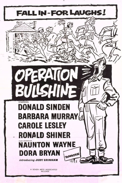 Poster for Operation Bullshine
