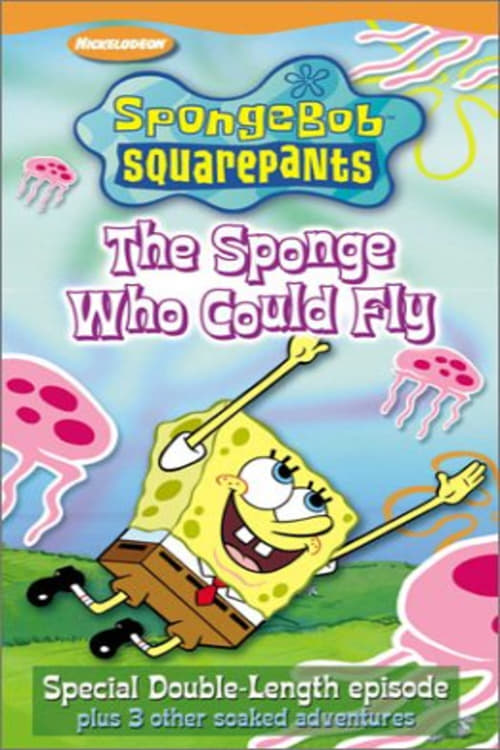 Poster for SpongeBob SquarePants: The Sponge Who Could Fly