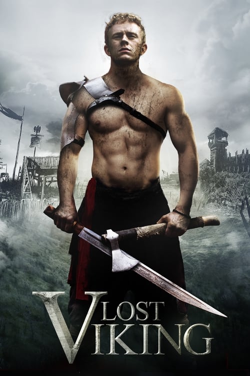 Poster for The Lost Viking