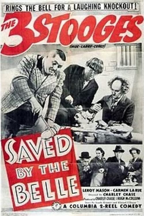 Poster for Saved by the Belle