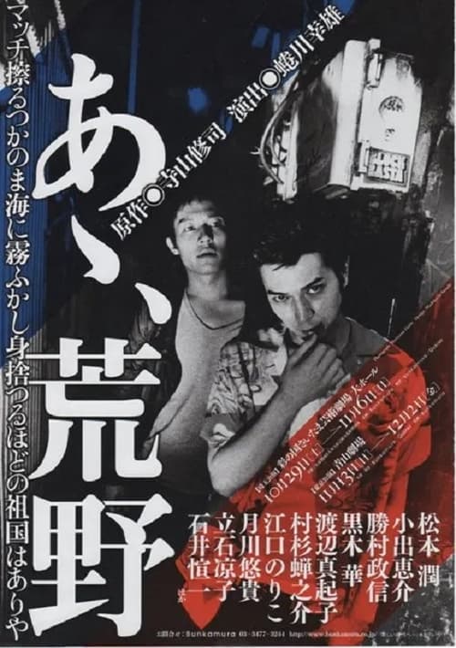 Poster for あゝ、荒野
