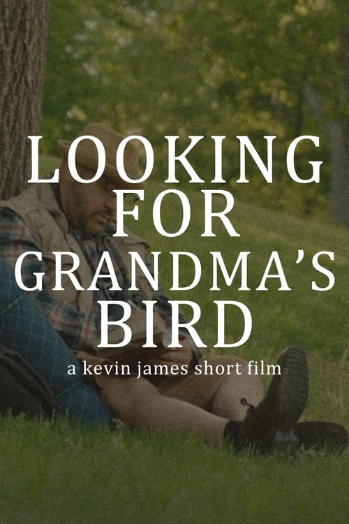 Poster for Looking for My Grandma's Bird