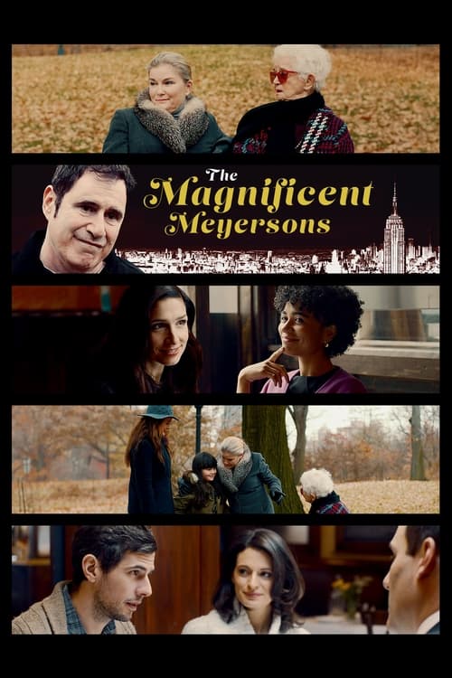 Poster for The Magnificent Meyersons
