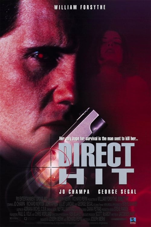 Poster for Direct Hit