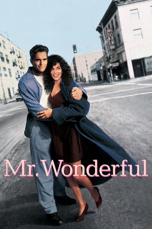 Poster for Mr. Wonderful