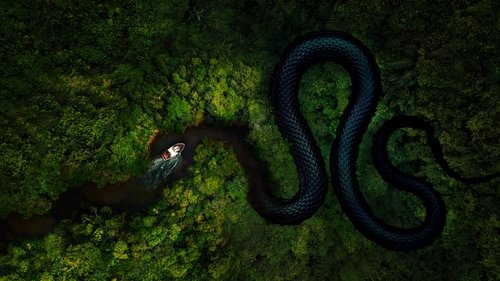 The Mosquito Coast scene 6