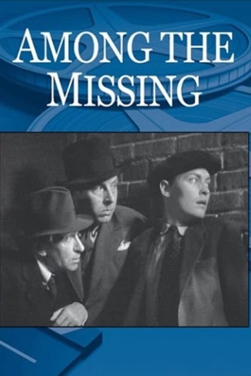 Poster for Among the Missing