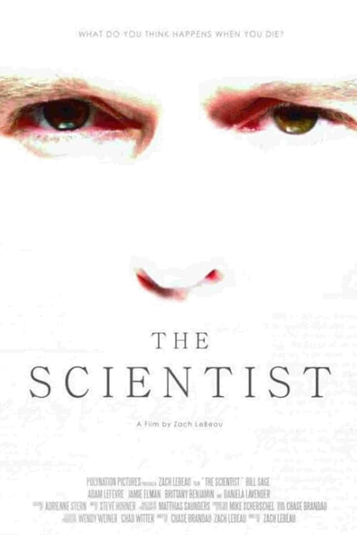 Poster for The Scientist