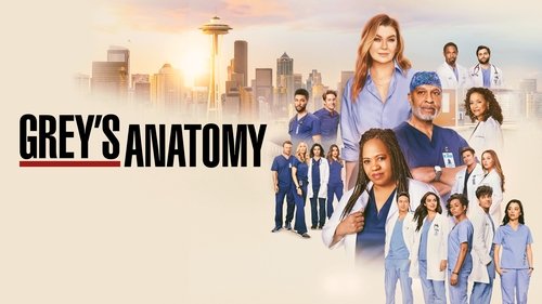 Grey's Anatomy scene 4