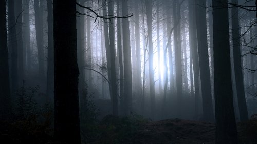 Finding Bigfoot scene 1