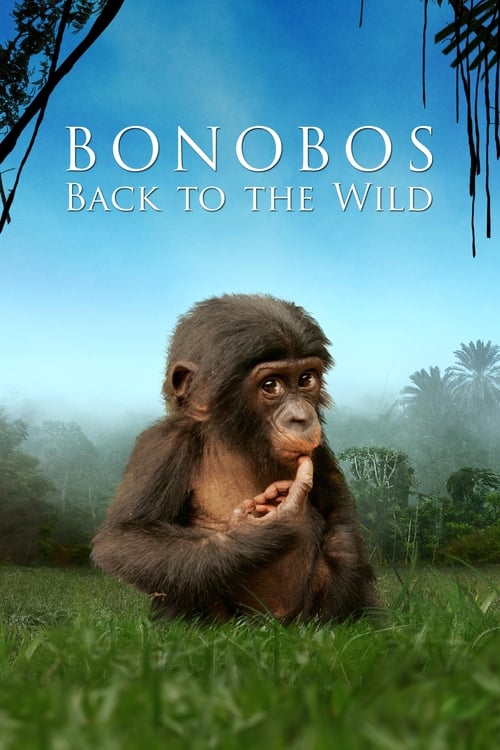 Poster for Bonobos: Back to the Wild