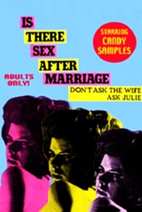 Poster for Is There Sex After Marriage