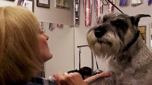 Going to the Dogs scene 1