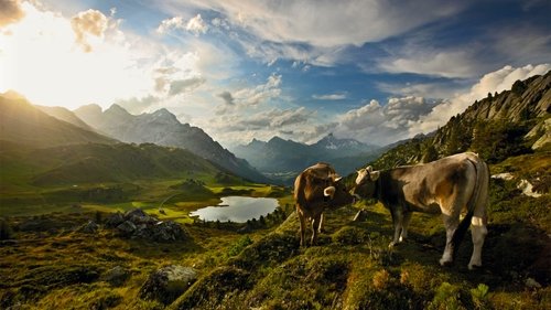 Wild Faces of Switzerland scene 2