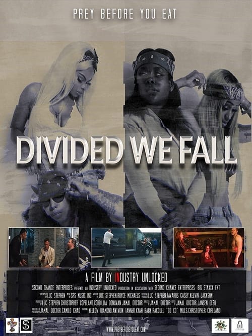 Poster for Divided We Fall
