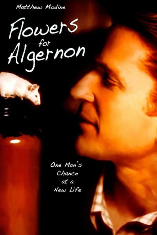 Poster for Flowers for Algernon