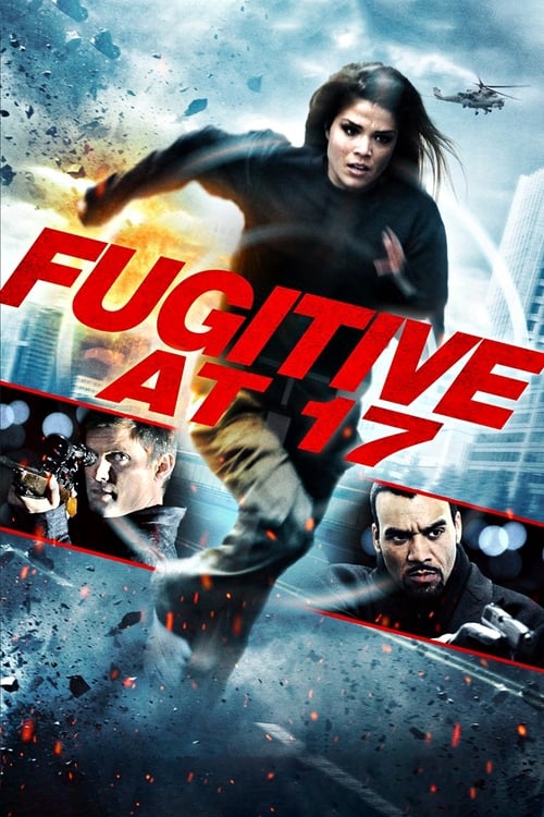 Poster for Fugitive at 17