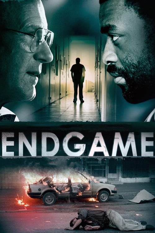 Poster for Endgame