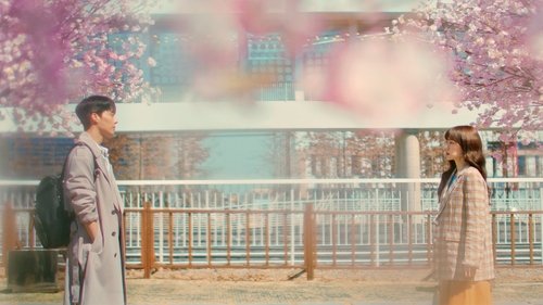 Search: WWW scene 1