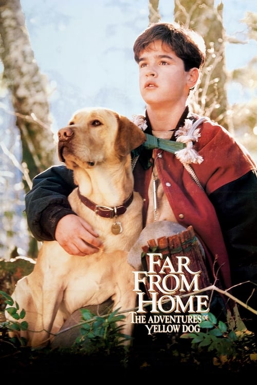 Poster for Far from Home: The Adventures of Yellow Dog