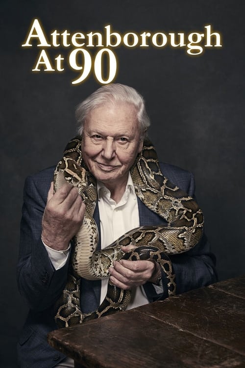 Poster for Attenborough at 90